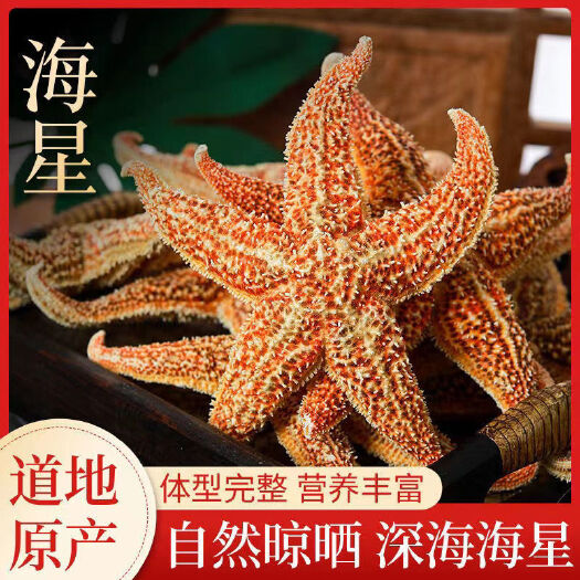 广州海星 性价比较高的一款海星最适合大汤包料，颜色亮，新晒货