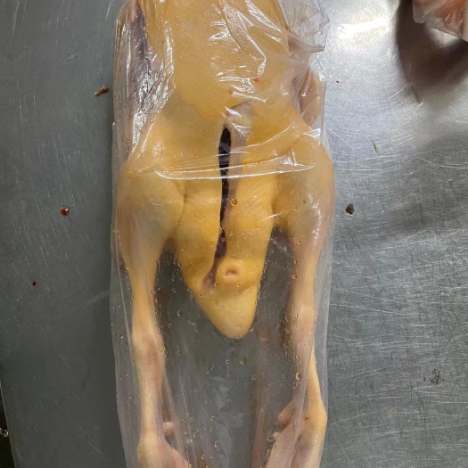 临沂黄皮鸭     规格齐全现货现发，新屠宰的