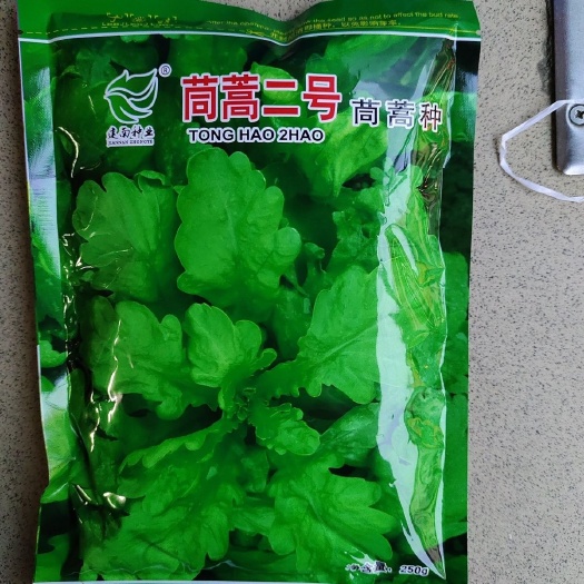 青县250克茼蒿二号茼蒿菜种子茼蒿菜籽种大叶茼蒿种子