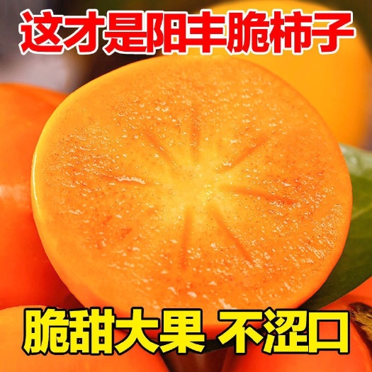 扶风县陕西当季现摘阳丰甜脆柿子整箱非软火晶