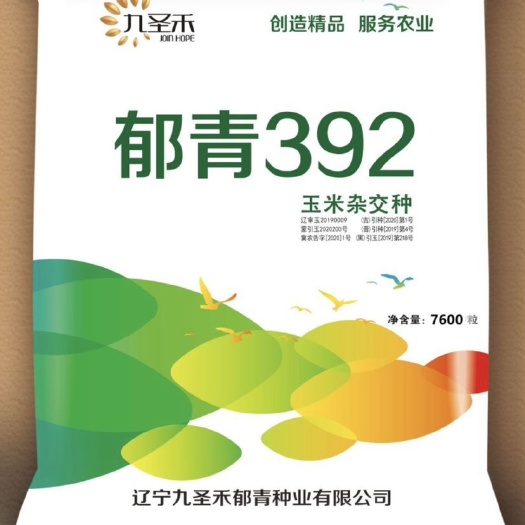 沈阳郁青392、铁系矮杆大棒品种、产量稳定抗病能力强。