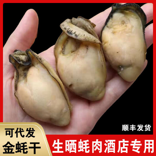 广州台山金蚝个个都富含饱满的蚝油，非常肥美，饱满，颜色漂亮
