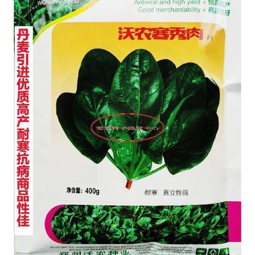 沭阳县冬日越冬型杂交菠菜种子圆叶肥厚菠菜种籽抗病高春秋型大田种孑
