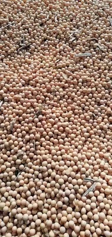 饶河县出售新收大豆！垦农40 蛋白39一共两万两千斤
