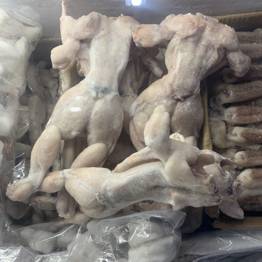 液氮牛蛙
