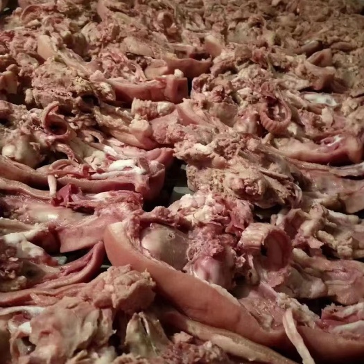 商丘七八成熟猪头肉