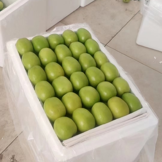 永仁县牛奶枣