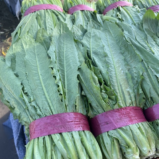 油麦菜