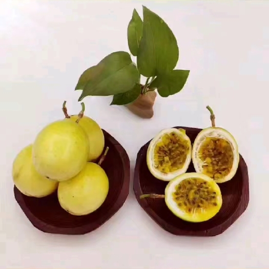 岑溪市黄金百香果钦密九号大果