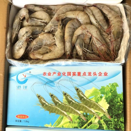 【港洋】南美白虾