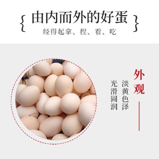 深州市鸡蛋
