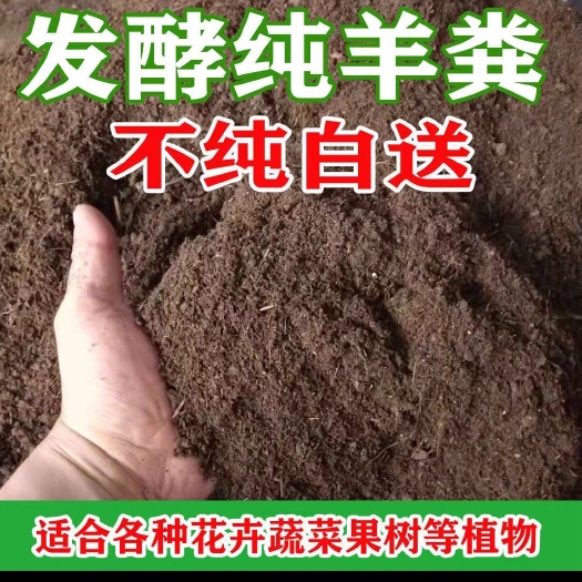 锡林浩特草原羊粪
