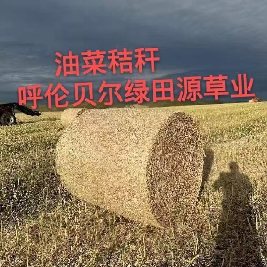 鄂温克旗油菜秸秆.每捆450斤