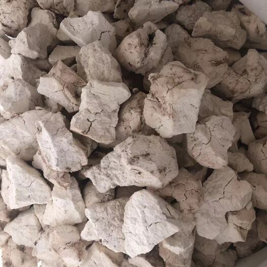 景谷县云南白茯苓大白块无硫晒干