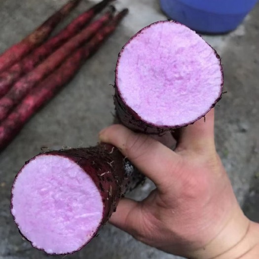 桂平市紫玉山药，小叶，细纹肉