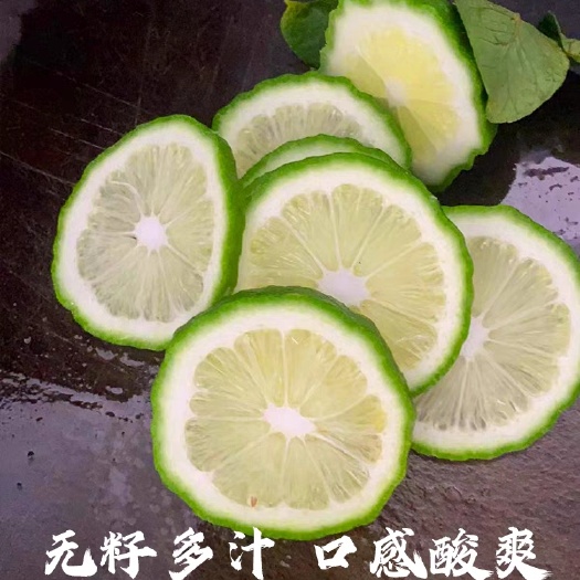 佛冈县广东香水柠檬级靓果