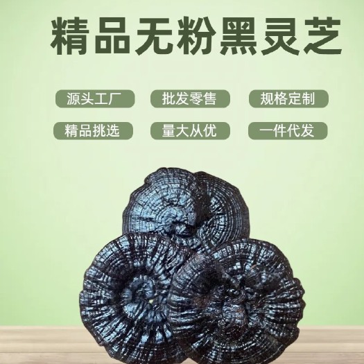 长沙黑灵芝