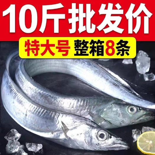 连云港【顺丰包邮】东海海捕带鱼整条新鲜海鲜鲜活速冻特级小眼油带刀鱼