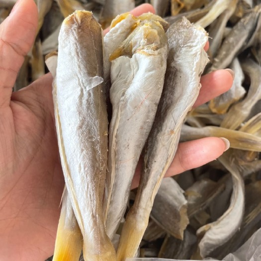 佛山肉角鱼干展会地摊淡干肉角鱼干红娘鱼沙丁鱼尾