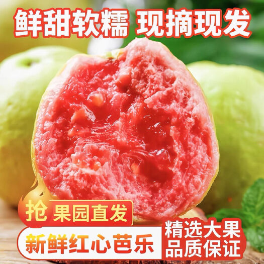 兴业县红心芭乐番石榴孕妇新鲜水果一整箱包邮