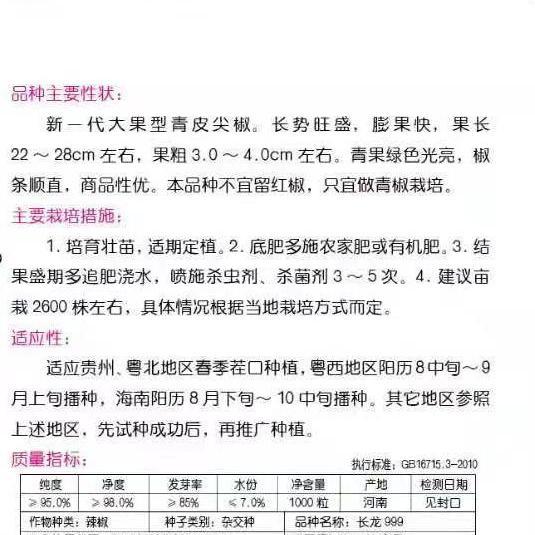 大果型青皮尖椒种子杂交品种椒条顺直青果绿色光亮抗逆性强口感好