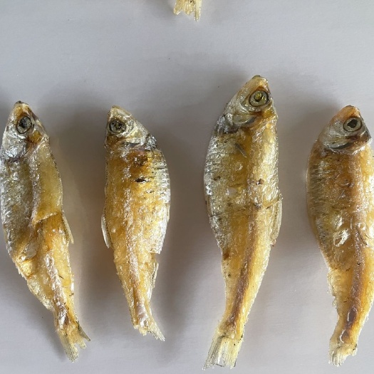 佛山香酥白立子鱼展会地摊香酥白立子鱼干油小河鱼海白肖白肚鱼干