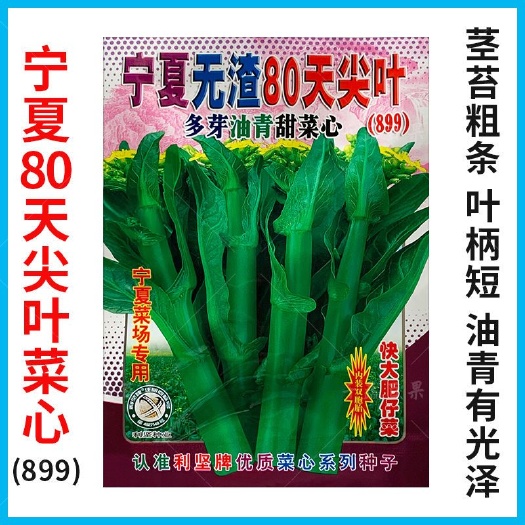 宁夏无渣80天尖叶菜心种籽多芽油青甜菜心种子899大田种蔬菜