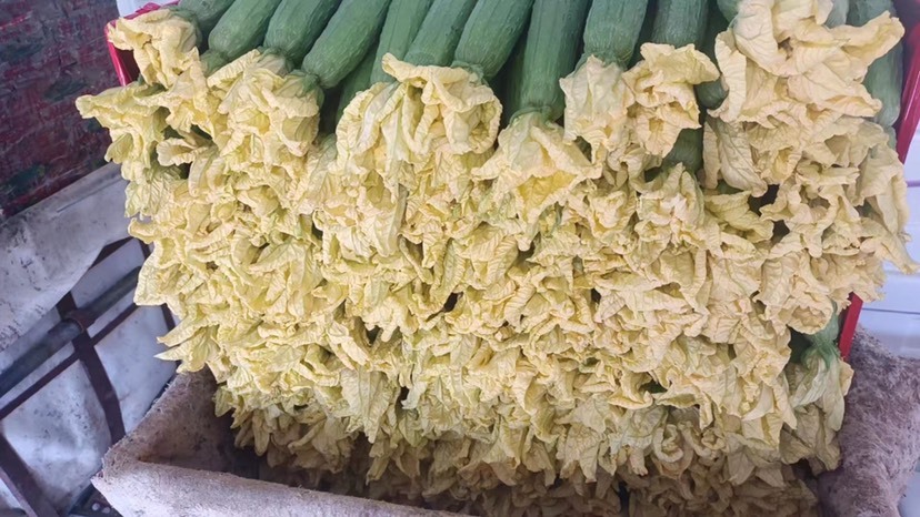 寿光市精品鲜花丝瓜~寿光翔凤蔬菜合作社