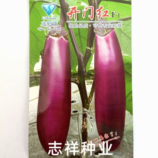 华容县四川金佰盛开门红紫红长茄子种子早熟粗棒皮薄籽少肉质细嫩春秋播