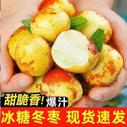 长沙山东沾化冬枣礼盒3/5斤新鲜应季甜脆鲜枣水果非沾化枣