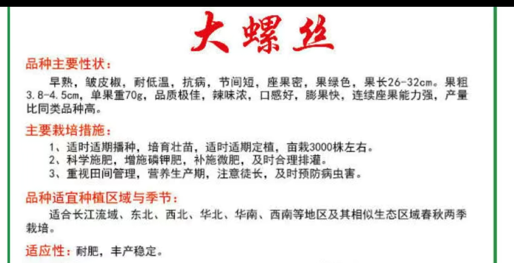 大螺丝椒种子早熟皱皮椒耐低温辣味浓口感好膨果快产量高辣椒籽