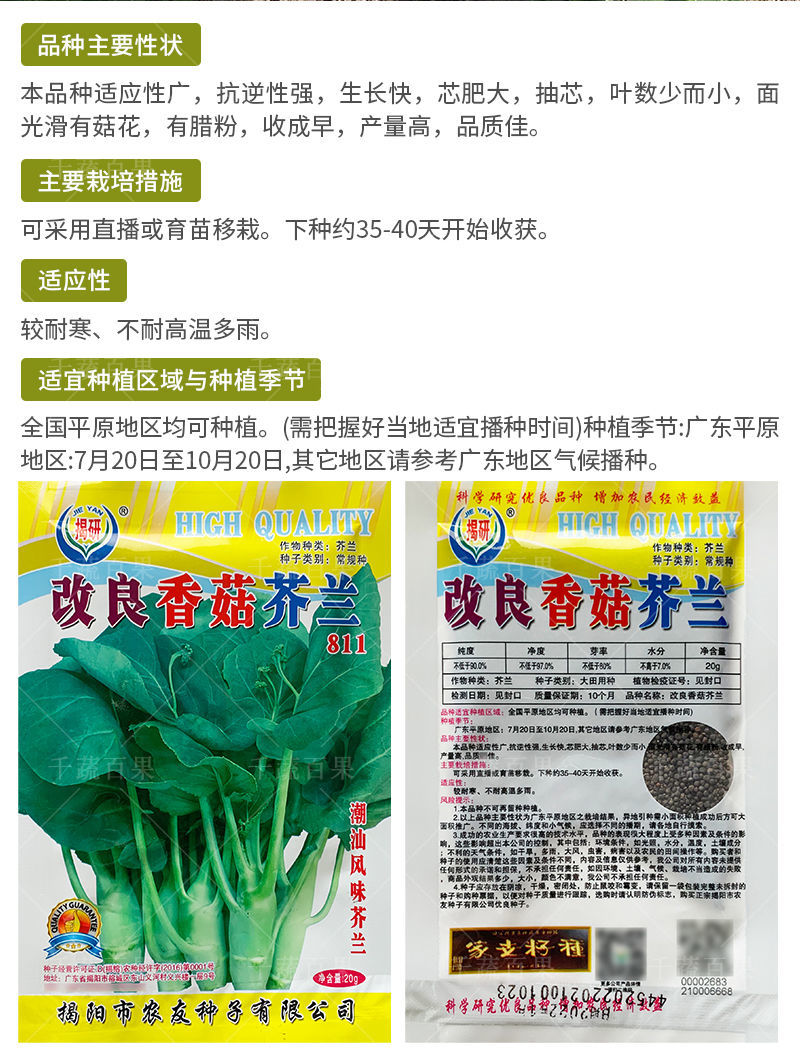 改良香菇芥兰菜种籽广东潮汕特色芥蓝菜籽介兰菜种子农家蔬菜种孑