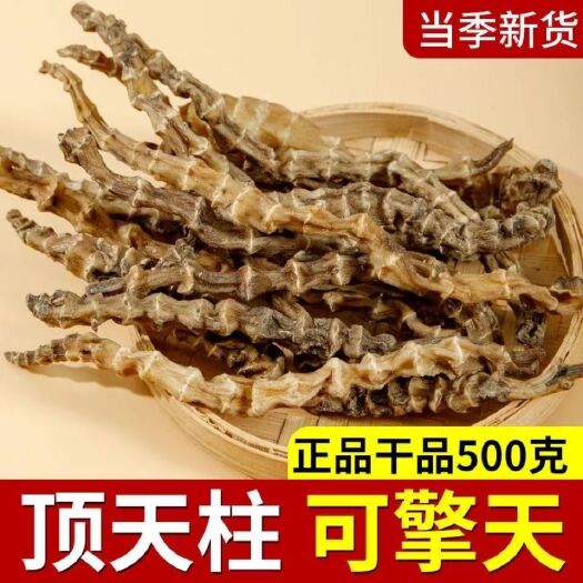 富民县顶天柱云南顶天柱泡茶炖汤泡酒