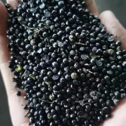 正定县花椒籽，可替代5%玉米，促进畜禽生长，大量现货