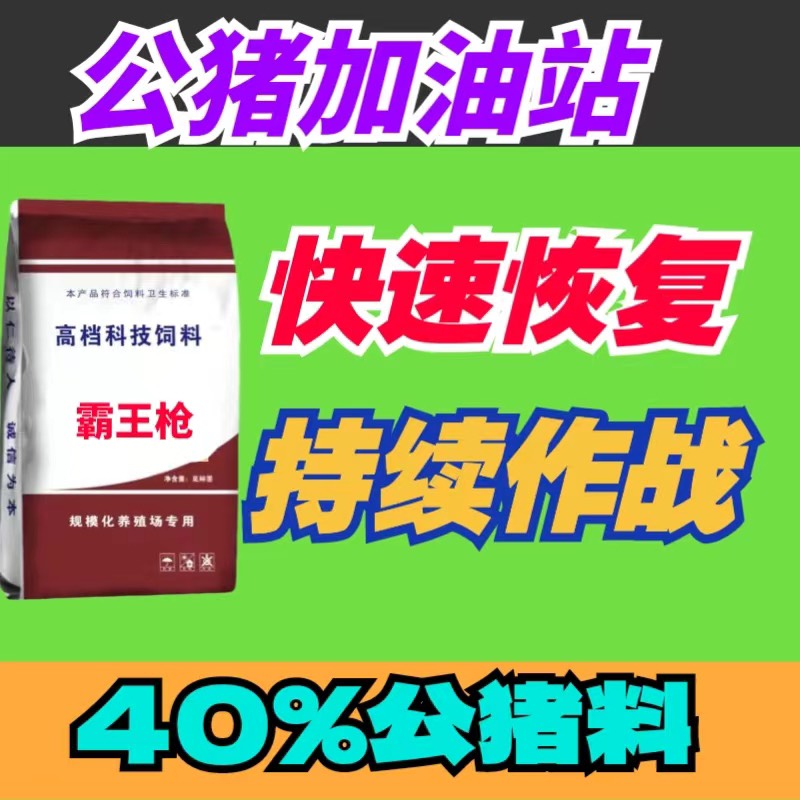 公猪饲料兽用快速补充能量人工授精猪用浓缩料专用杜洛克长白大白