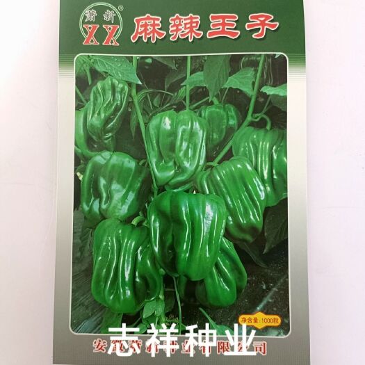 华容县萧新薄皮麻辣椒种子 早熟灯笼型甜椒种籽 果色亮绿 皮薄质脆
