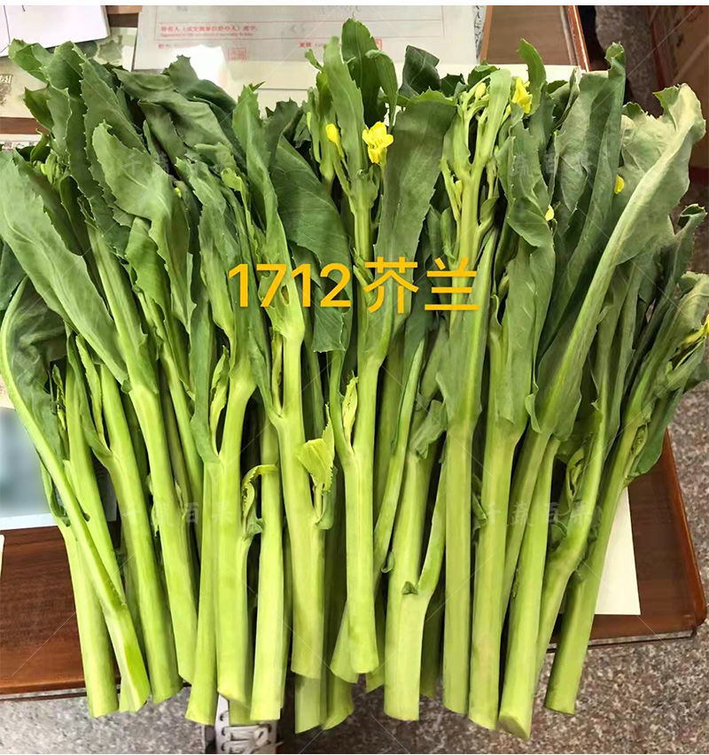 桃山芥蘭菜種籽芥藍(lán)菜籽廣東介蘭菜種可多次采收青菜蔬菜種孑種子