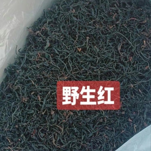 有一吨 临沧大雪山自然保护区下面自己村采了做的野生红茶