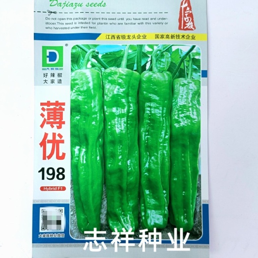 江西大家族薄优198大果薄皮椒种子早熟长灯笼椒青椒抗病高基地