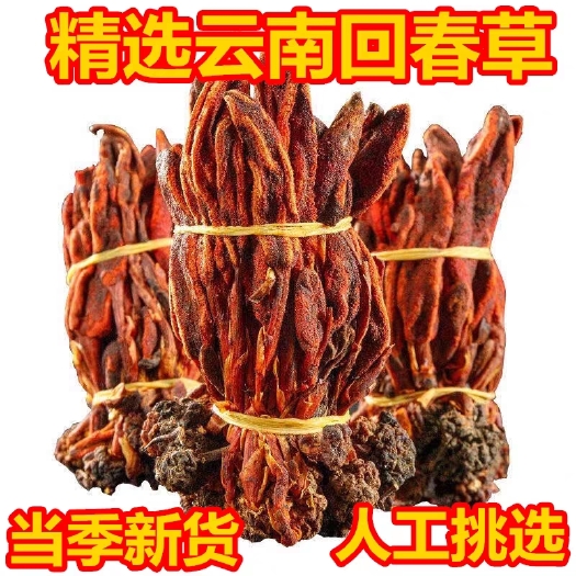 昆明云南回春草批发，煲汤，泡酒中药材