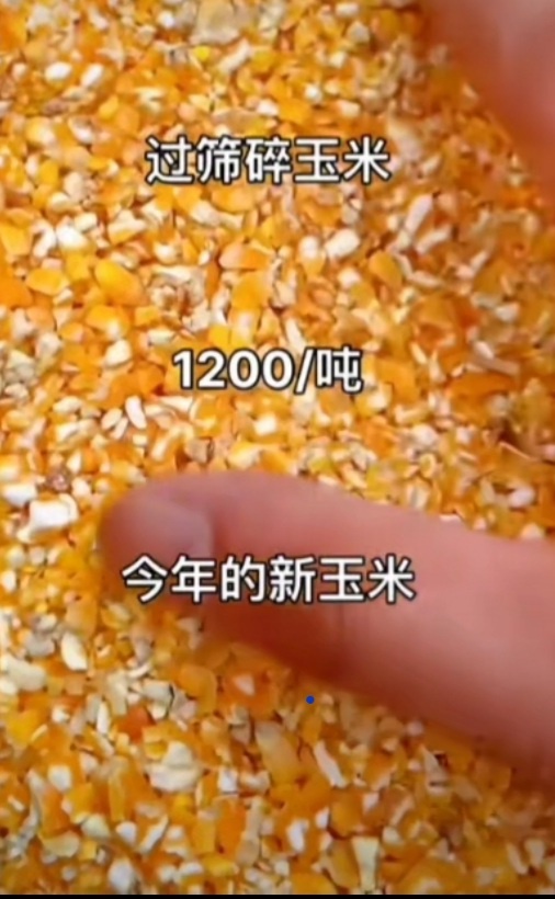 嘉祥县碎玉米