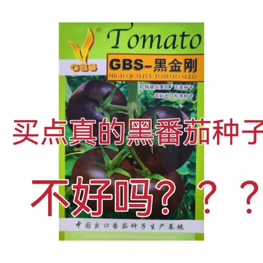 沭阳县黑金刚黑番茄种子四季阳台盆栽易种植黑宝石番茄水果型蔬菜种子