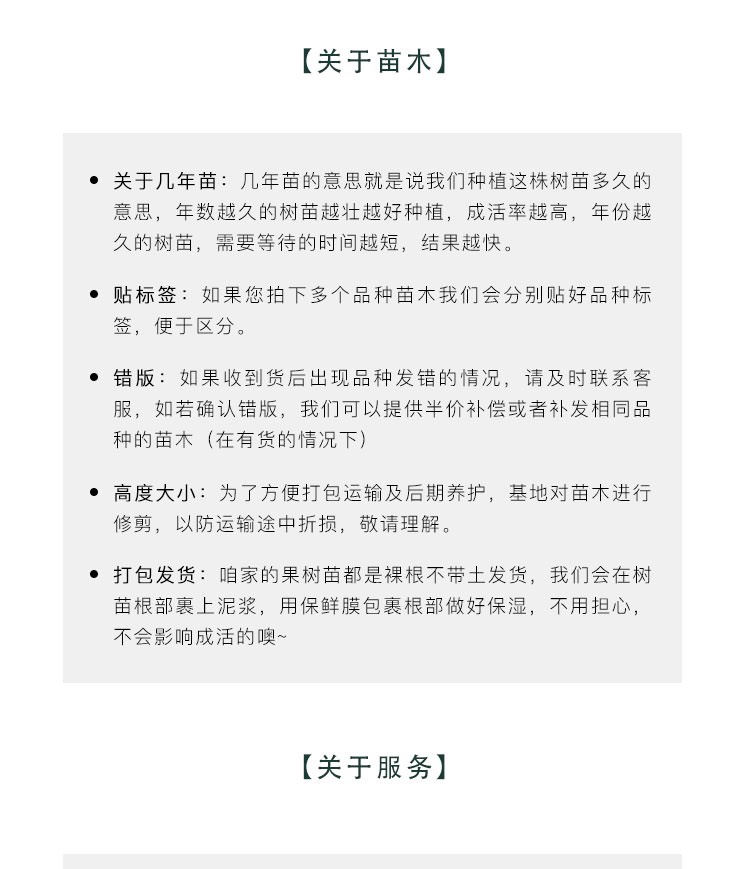 桃树砧木苗未嫁接桃树苗野生毛桃苗拆迁占地苗原生苗南北方种植苗