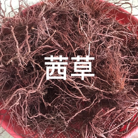 永城市中药材～茜草根  2024年新货  水洗晒干  实拍图～