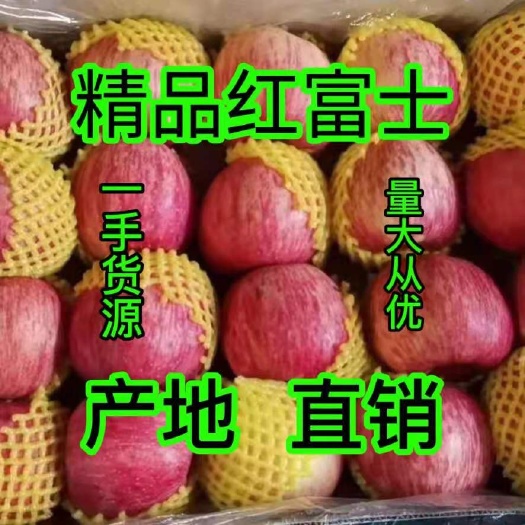 精品红富士苹果价格 山东苹果产地批发 质量保证