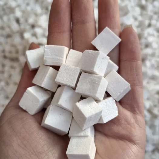 长沙茯苓