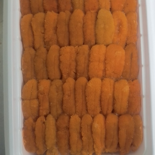 大连海胆，漂烫海胆，海胆冻块，活海胆，马胆海胆，紫胆，黄胆，炒胆