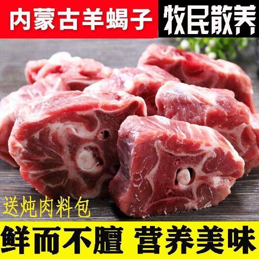 郑州新鲜内蒙古新鲜羊蝎子批发价现杀羊脊骨即时多肉火锅食材羊脊背