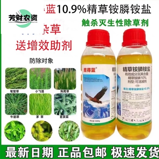 随县鹰得蓝 精草胺磷铵盐除草剂水剂果园茶园荒地杂草牛筋草小飞蓬农