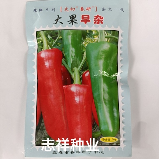 华容县大果早杂二号牛角椒灯笼辣椒种子 早熟 红果快抗病强50克